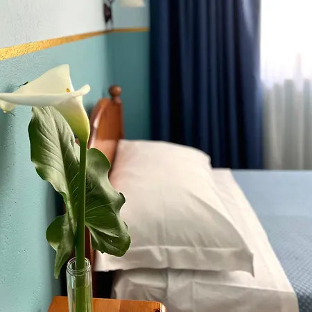 Otel Napoleon Montjovet